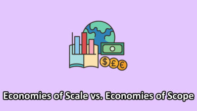 economies of scale vs economies of scope designed