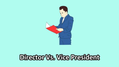 director vs vice president