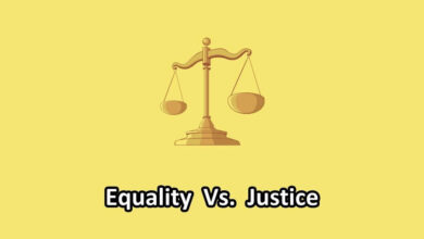 equality vs justice
